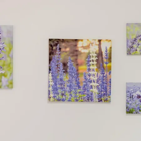 Tudor 1 Apartamento Hvar Town