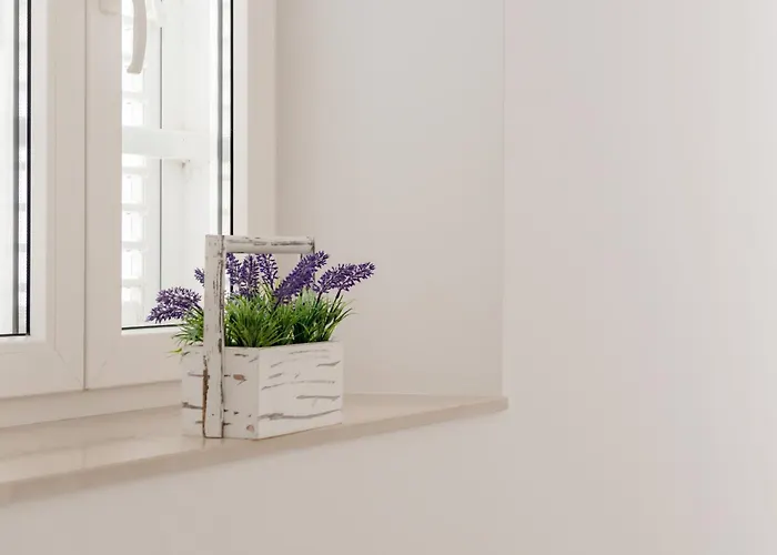 아파트 Tudor 1 흐바르